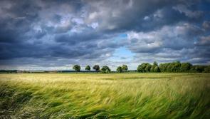 Warning  for 'unseasonably windy' weather in Kilkenny 