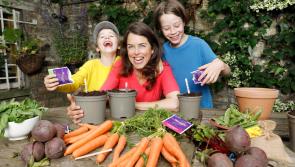 Kilkenny people are invited to Get Ireland Growing with free grow boxes!