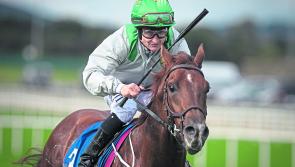 Horse Racing Weekend Review- Shane Foley has 3 winners at Navan