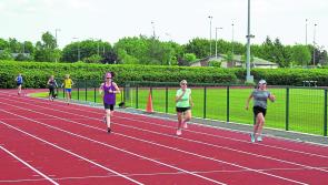 Back on track - Kilkenny City Harriers sprint past setbacks and get up and running again