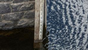 It's official: Hosepipe ban in effect in Kilkenny and rest of country from tomorrow