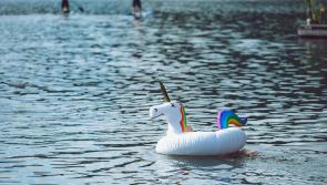 Kilkenny to consider call for ban on water-use inflatables
