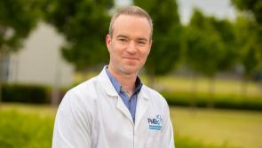 Scientists in South-east awarded funding to speed up Covid-19 testing