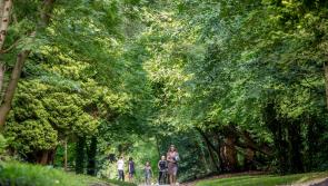 Popular walks and hikes around Kilkenny to enjoy with the easing of Covid restrictions