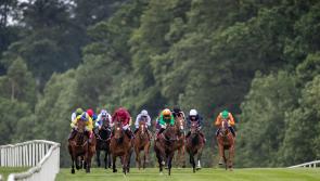 Kilkenny Horse-Racing: King Keane success at Gowran Park gives Lyons double Guineas boost