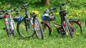Kilkenny’s Top Cycling Trails & Tours