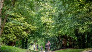  North Kilkenny park to benefit from €1.5 million in supports for Social Enterprises

