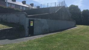Kilkenny to explore possibility of a new handball monument