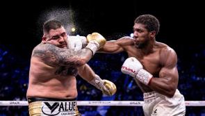 World Sports photography awards winners revealed