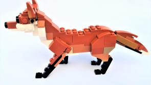 Heritage Council calls on Kilkenny children to showcase local heritage through Lego®