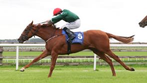 O'Briens in the running for Juddmonte Irish Oaks glory