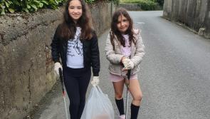 Kilkenny sisters' litter pick raises funds to save endangered animals