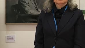Kilkenny's new Butler Gallery to open with exhibition featuring James Stephens troops