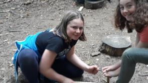 Kilkenny youngsters learn lifelong skills through course in nature
