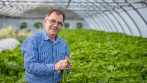 Kilkenny company to feature on RTÉ tonight