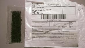 'Very serious' - Irish people receive random seeds from outside EU in the post 