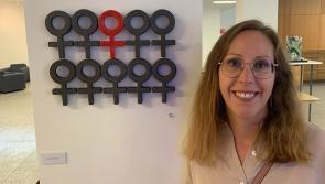 Kilkenny ceramicist showcases her work at Farmleigh Gallery