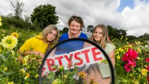 Kilkenny: Final countdown on for entries to BT Young Scientist & Technology Exhibition