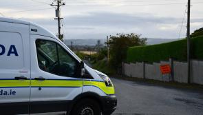 Update: Male in court following  garda raid in Wetlands area of Kilkenny