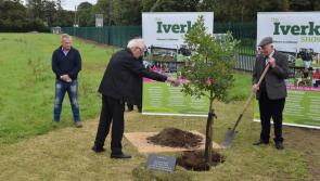 Doubts over this year's Iverk Show in south Kilkenny -  Zooming AGM hears 
