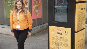 Hidden gems and top tips - Kilkenny's Welcome Team is a tourist  success 