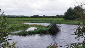 Kilkenny farmers reminded of new water quality regulations effective from January 1