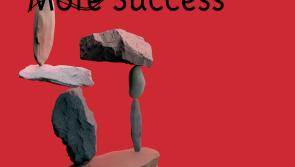 L̶e̶s̶s̶ Stress M̶o̶r̶e̶ Success at Kilkenny Arts Office Gallery