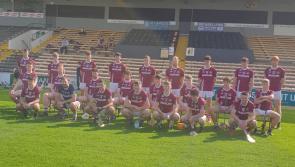 Dicksboro delight as junior hurlers power past Piltown into final