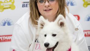 Has your puppy got what it takes to be the Kilkenny Puppy of the Year 2020?