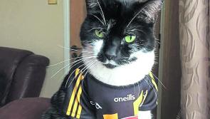 It's Kilkenny Day! Are you wearing your black and amber Sunday best?