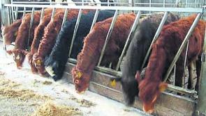 Fodder supports for Kilkenny farm families welcomed