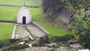 Councillors pledge to find funding for Kilkenny's historic gem -  Kenny’s Well