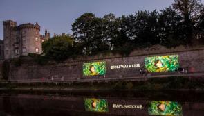 Only three nights left to see Kilkenny Animated projections on Kilkenny Castle