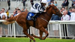Kilkenny's Shane Foley misses out on Jockey's Championship
