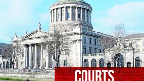 Court of Appeal rules detention of Romanian man not unlawful despite no mention of interpreter