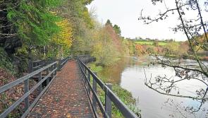 Trails, swimming areas, woodwalks - funding boost for Kilkenny outdoor infrastructure