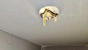 PHOTOS: Smoke alarm helps everybody get out of house fire safely 