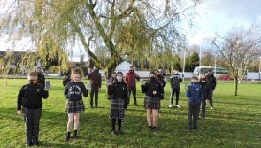 Ballyhale school set to take on an Everest challenge