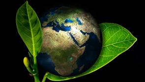 Kilkenny entrepreneurs encouraged to go green