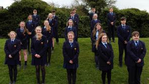 Castlecomer's magnificent seven: School sending its most-ever projects to Young Scientist Exhibition