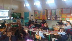 Kilkenny primary students take part in climate change workshop