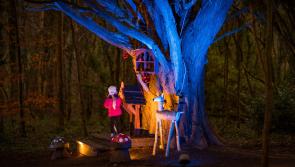 Castlecomer Discovery Park lights up with a festive glow