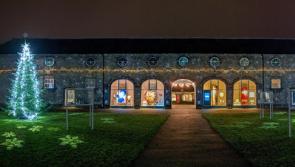 'Garden of Light'  created as a place to reflect and remember in Kilkenny