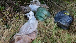 Shocking dumping at Kilkenny beauty spot