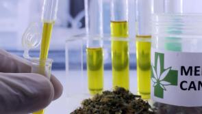 Medicinal cannabis import scheme made permanent