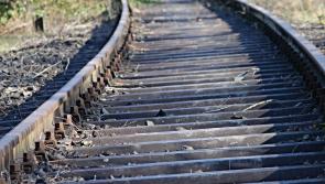 Kilkenny Greenway railway sleepers to be taken away and burned