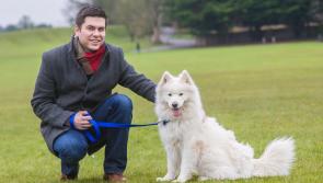 ‘A dog is for life, not for Christmas’ - Cathaoirleach of Kilkenny County Council