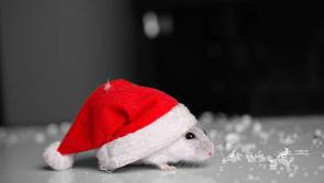 ’Twas a night before Christmas...