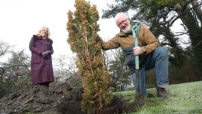 Minister of State backs fine handed out to turf cutting contractor - Kilkenny Live