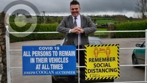 Pictures: Outdoor, drive-in auction system proves a winner for Joe Coogan in Castlecomer